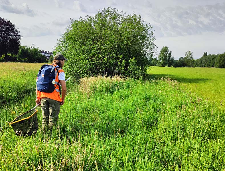 soorten onderzoek ecologie habitus