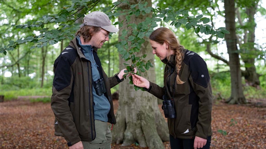 Habitus - Kwaliteit en expertise