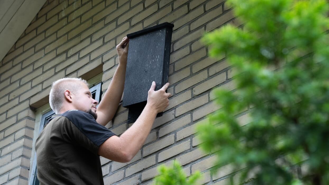 specialist ecologische begeleiding bij habitus